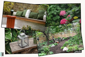 backyard garden