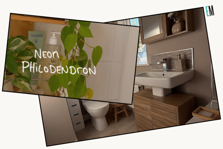 minimalist bathroom