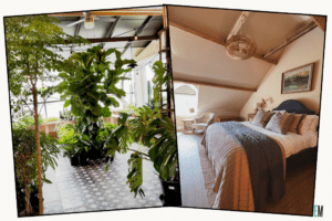 Eco Cabin Interior