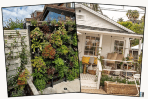 Eco Cottage Exterior